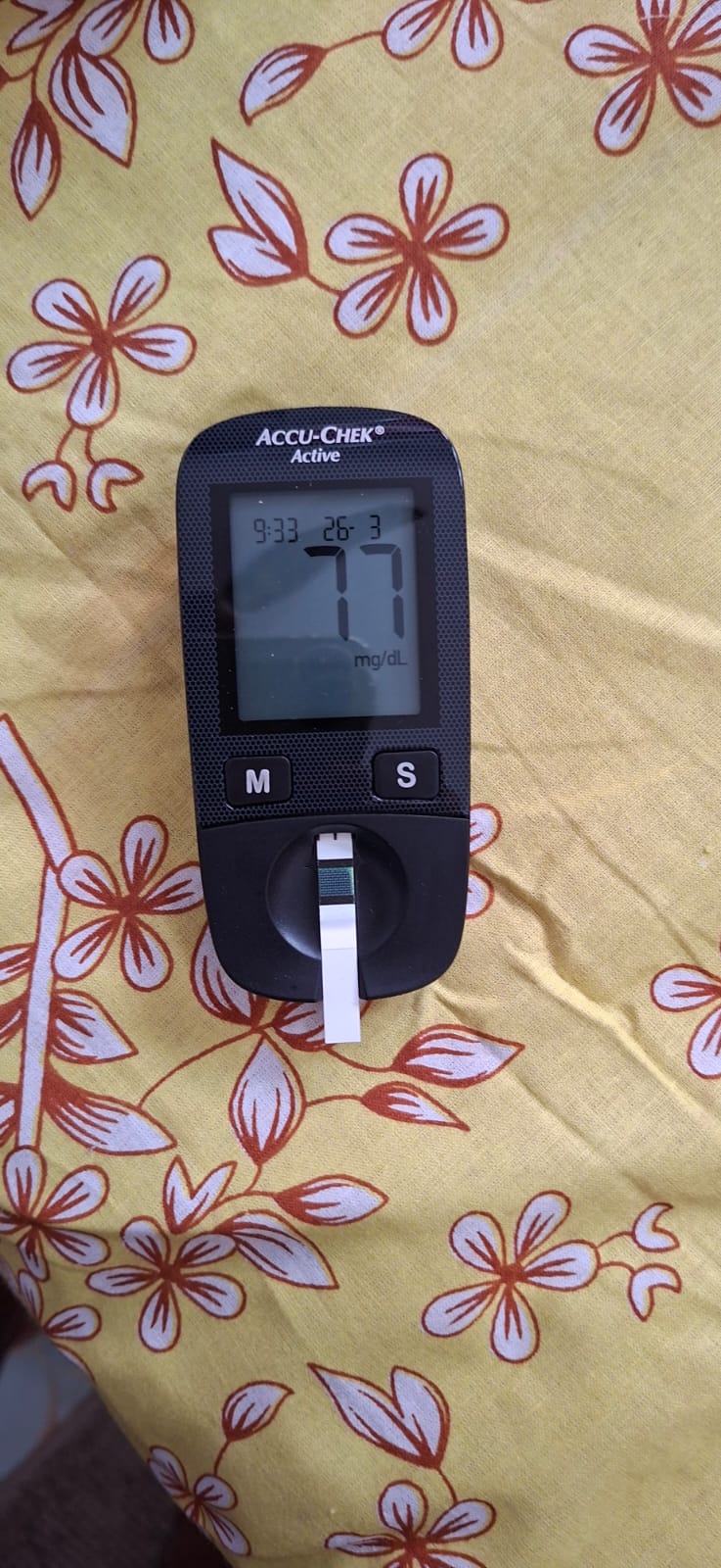 61F GAD DM2 2018 WB PaJR